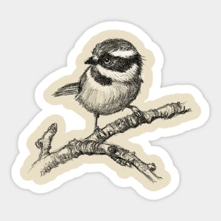 Cute little bird Sticker